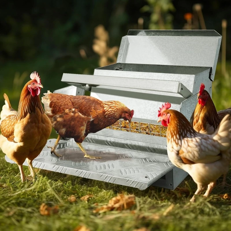 Chicken, Duck and Goose Rat-proof Feeding Tank, Galvanized Sheet Waterproof and Moisture-proof, Poultry Automatic Feeder