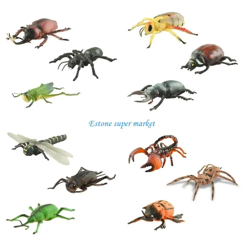 090B Realistic Insect Model Figurine Set For School Biology Lesson And Hands On Nature Science Learning Educational Toy 3PCS