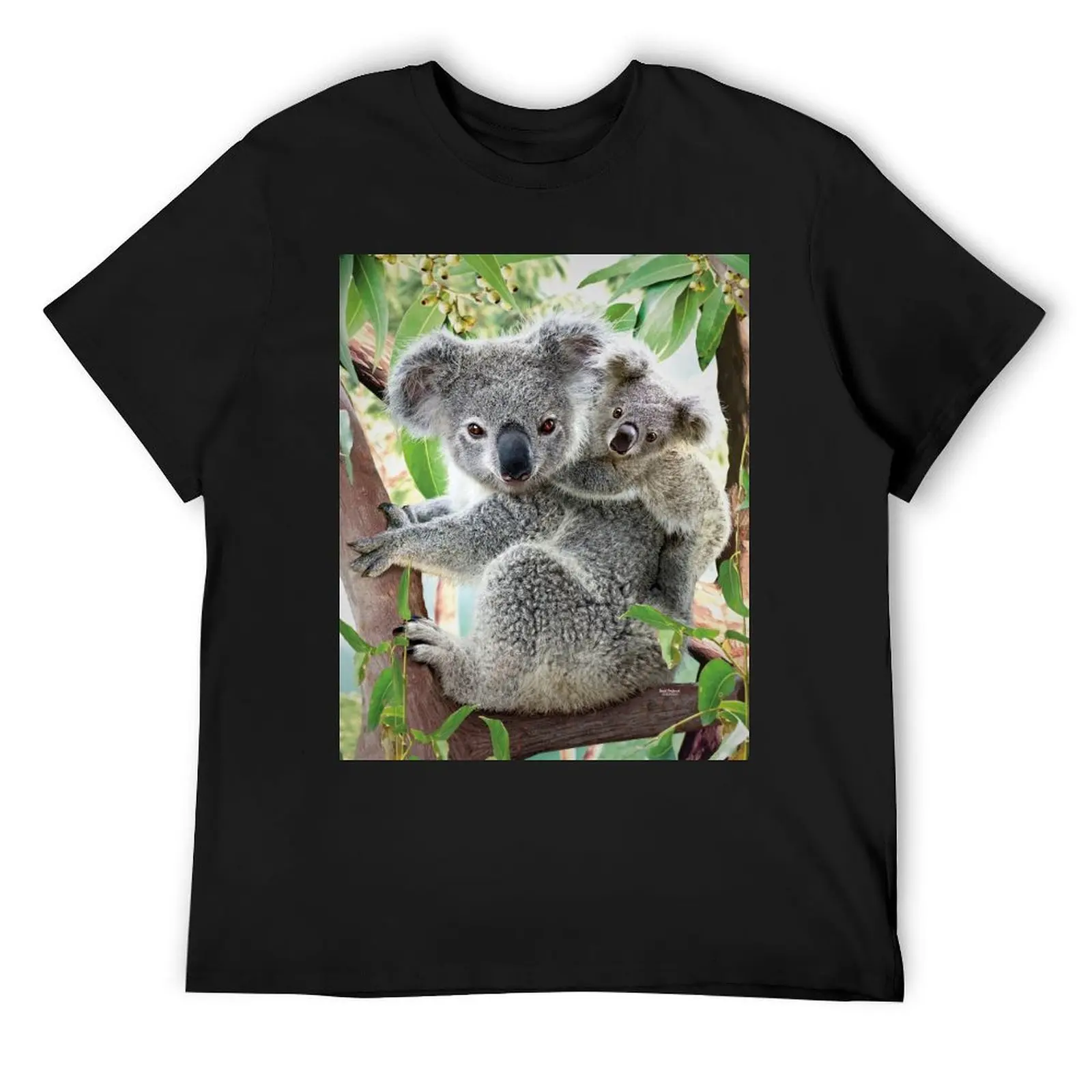 Koala Cuddles T-Shirt new edition oversized t shirt plus size men clothing