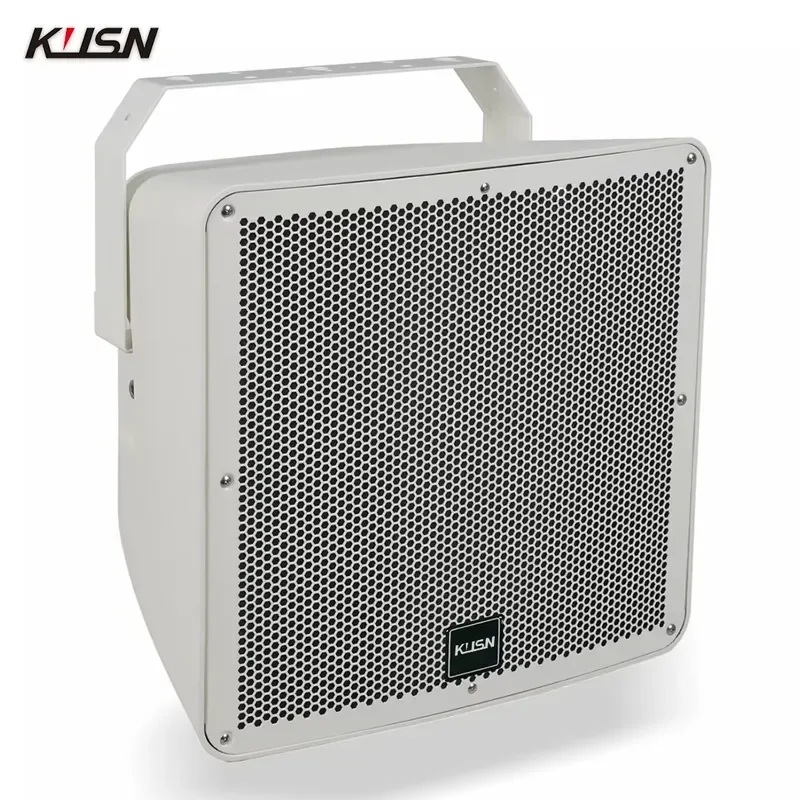 12 Inch 300W Outdoor Loudspeaker IP55 Weatherproof Sound Reinforcement System 70V 100V 8 Ohm Stadium Music Broadcast Speaker