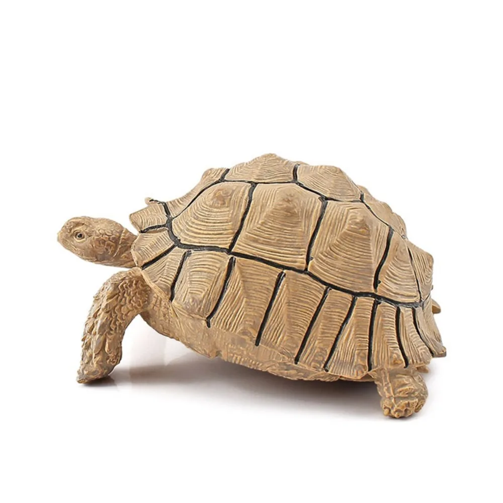 

Leatherback Tortoise Turtle Action Figures Realistic Simulation Sea Turtle Model Educational PVC Material