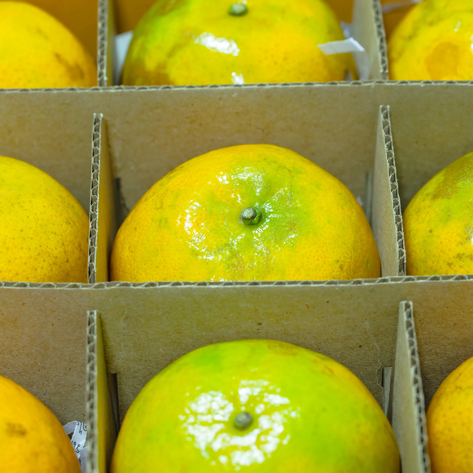 1 مجموعة فواصل صندوق من الورق المقوى لحماية طبق الزجاج تعبئة قوية نقل آمن عناصر هشة صناديق متحركة إدراج