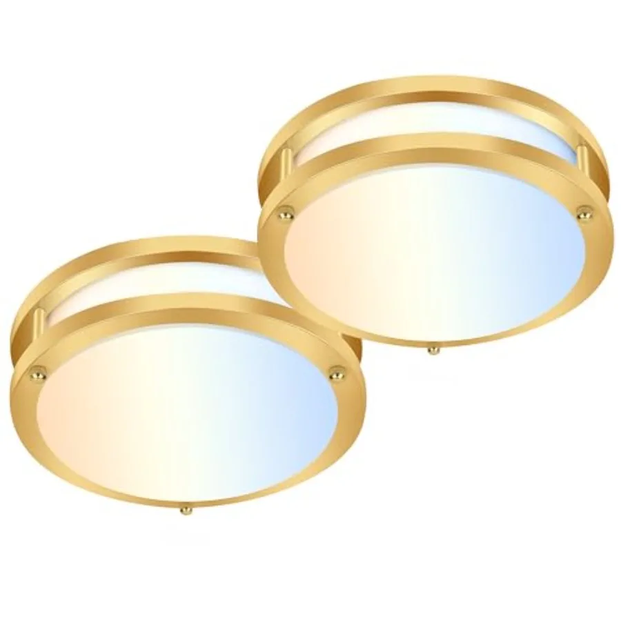 Adjustable Dimmable LED Ceiling Light Fixture