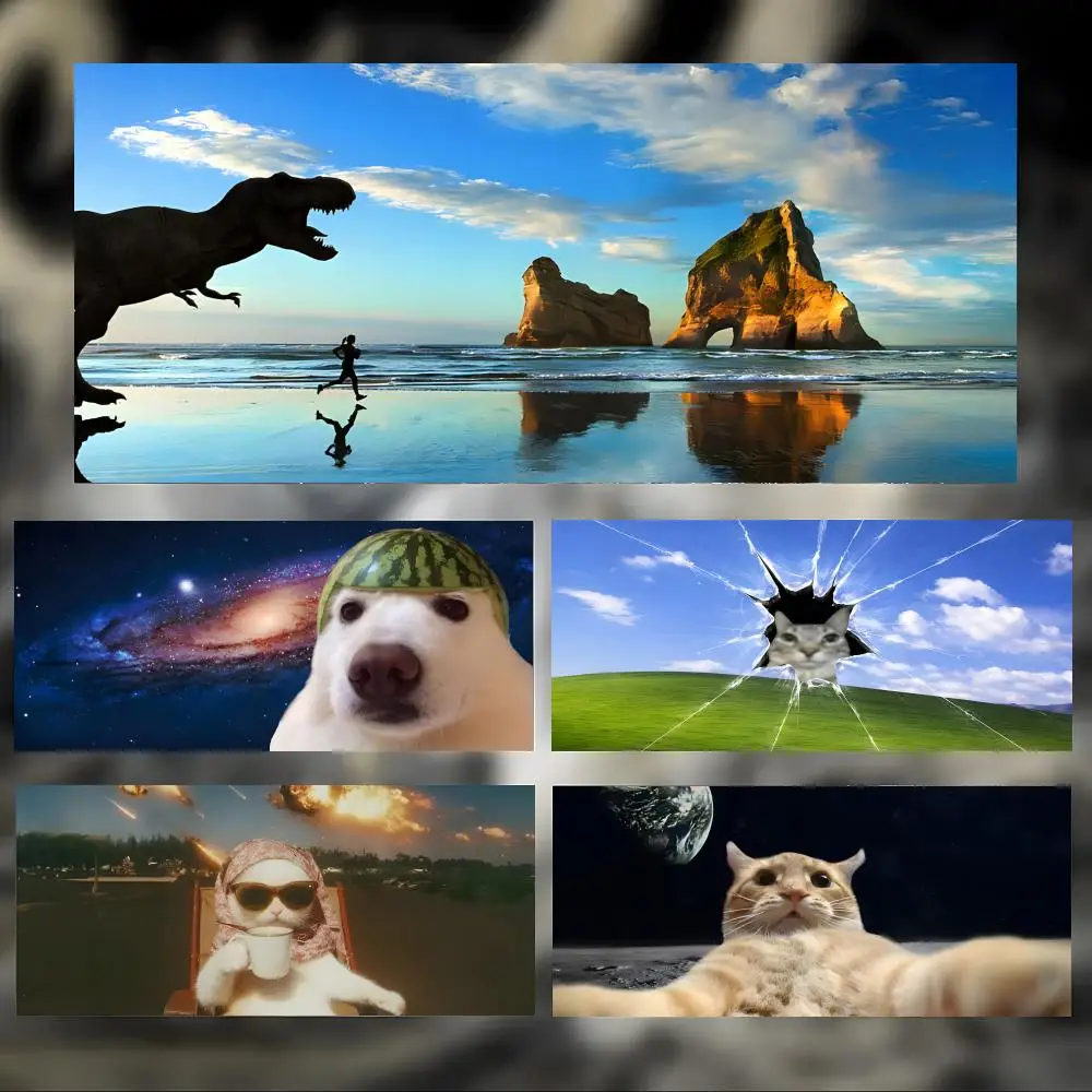 No image