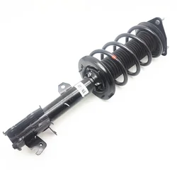 Front shock absorber assembly for BYD Atto 3（need CAR VIN）