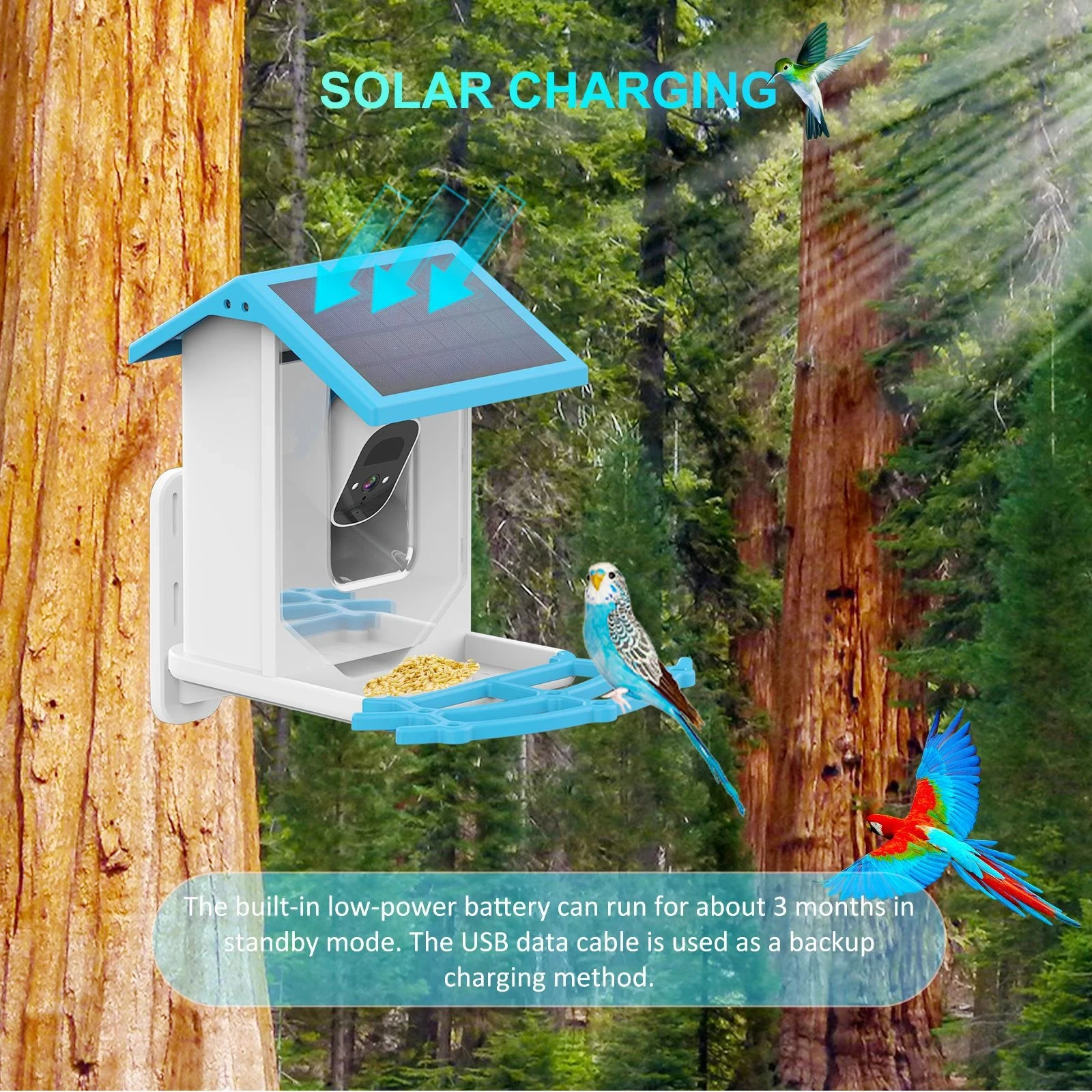 Фидер для птиц, 2,4 л, 4 МП, Wi-Fi