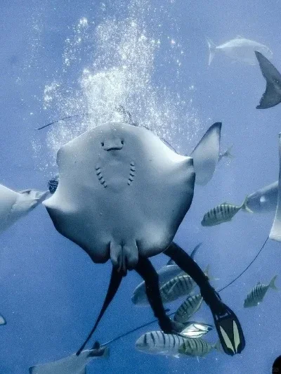 

RC Car Tires 4pcs 110mm Rubber Tire Tyre for 12MM 14MM 17MM Replacmenet for TRX HSP Tamiya HPI Off-Road Vehicle Short TrucRC Car