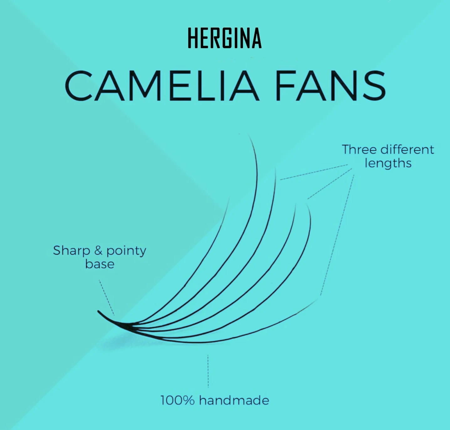 HERGINA Camellia 0.07 thickness D Curl mix length Volume Mega Eyelash Extension Matte Deep Black Individual lashes