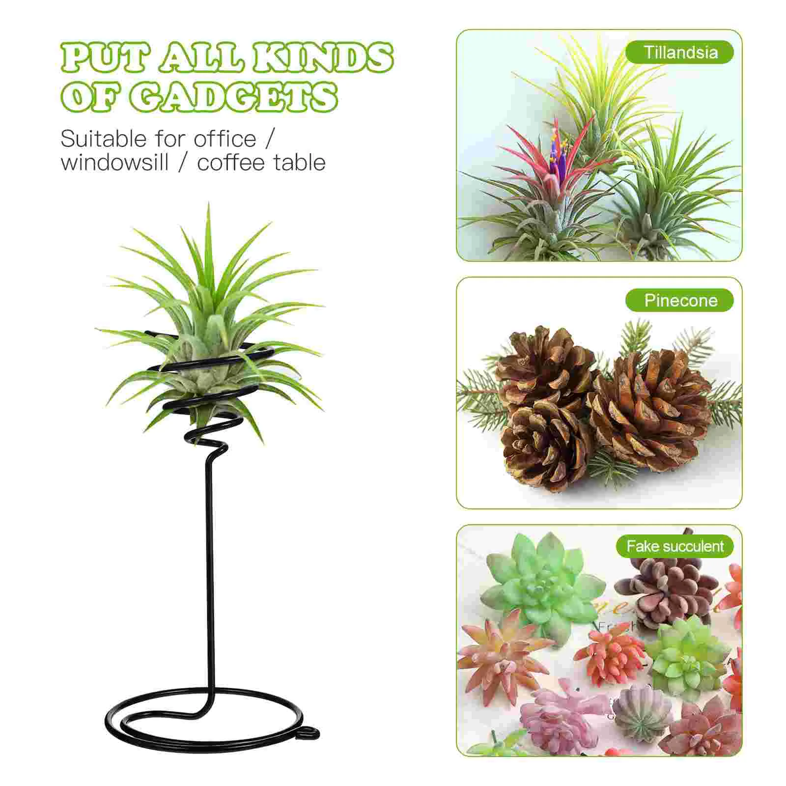 Tillandsia Air Plants Holders Air Plant Stand Air Plant Display Rack Air Plants Holders Unique Tillandsia Displaying Stand