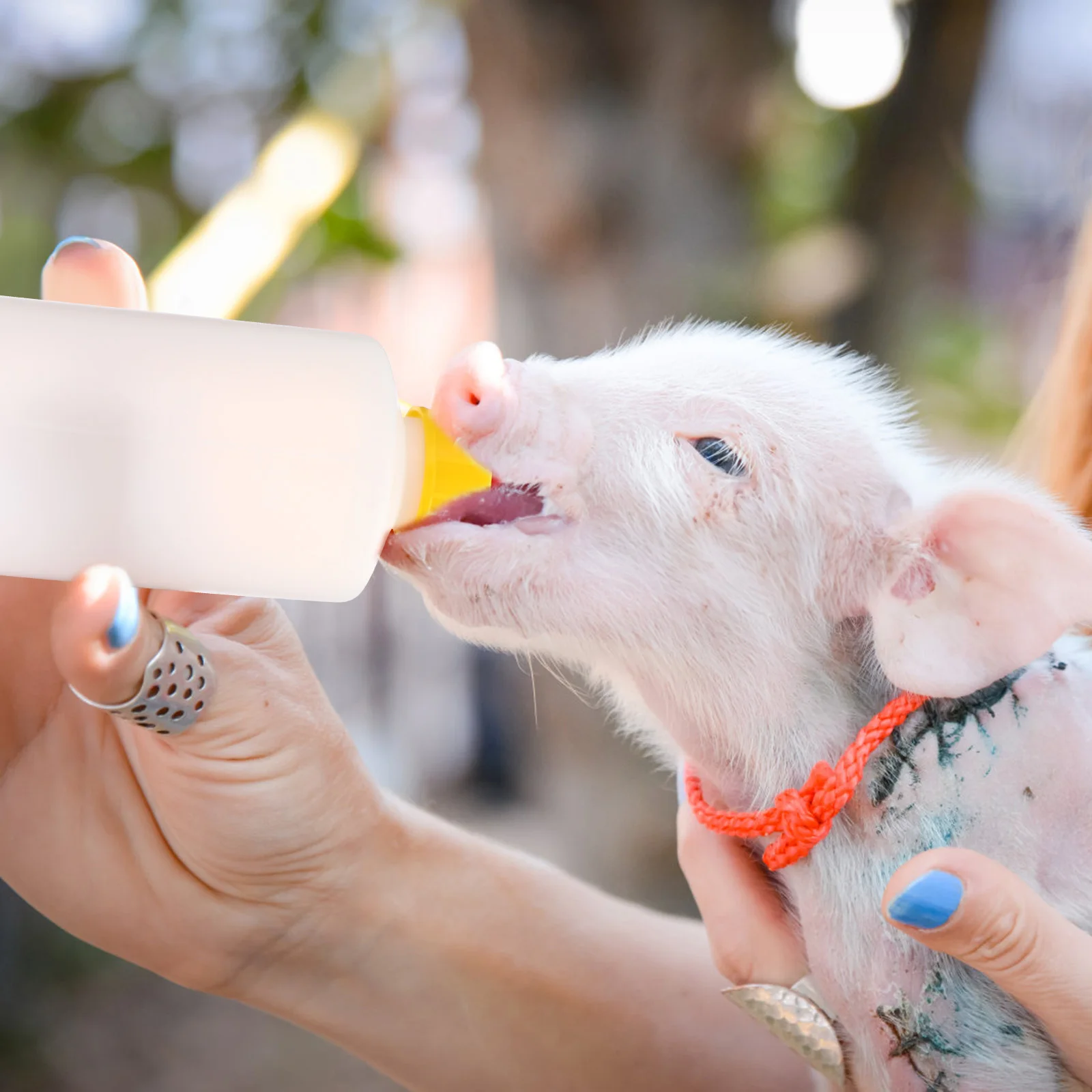 

Lamb Feeding Bottles 400ml Durable Pet Container Goat Calf Nursing Bottle White Large Capacity Anti Bite Milk Feeder