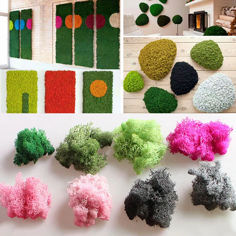 1 Bag Colorful Natural Moss Plant Ornament DIY Dried Craft Preserved Reindeer Flower Micro Landscape Garden Decoration