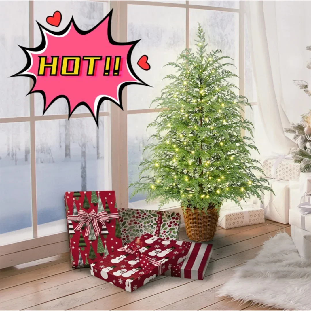 4Ft Norfolk Pine Ch… - image
