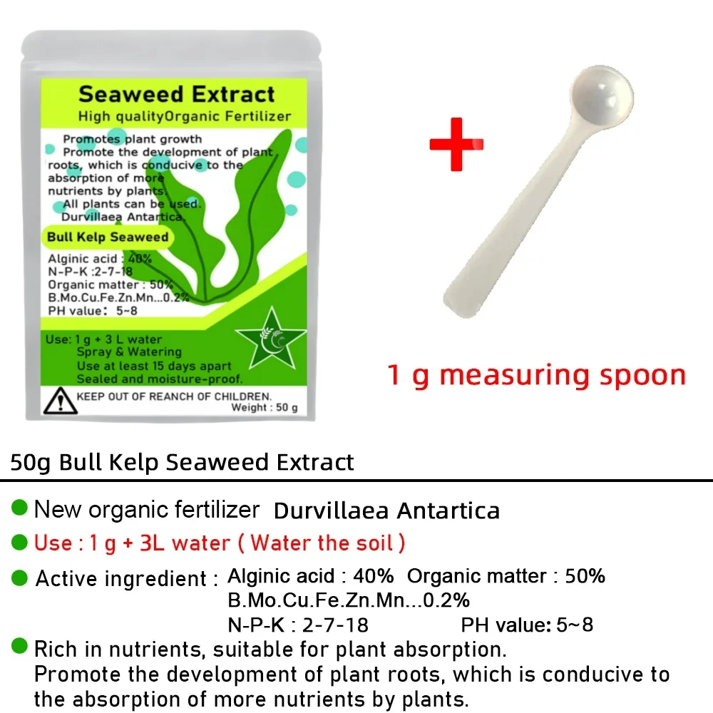 50g Bull Kelp Seaweed Extract Green New Organic Fertilizer Rich In Organic Matter Durvillaea Antartica Material