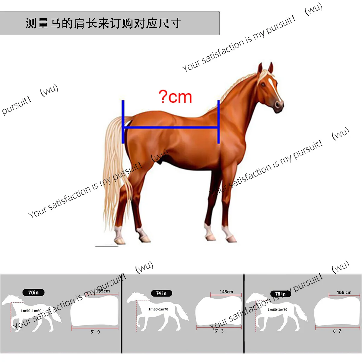 Winter warm waterproof breathable horse clothes pressed line padded nylon cloth horse clothes belt scarf