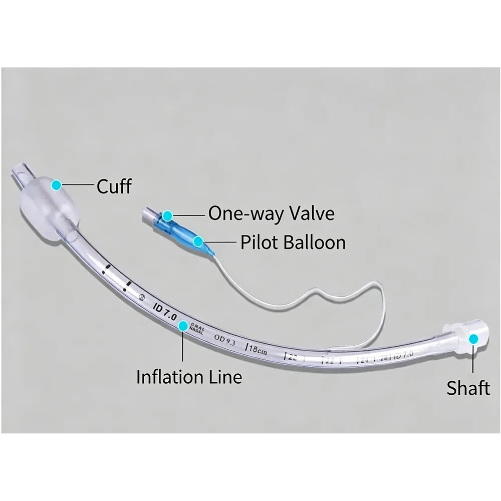 Sterilized disposable animal experimentation tracheal intubation tube with cuff for pets, suitable for cats, dogs, rabbits, and