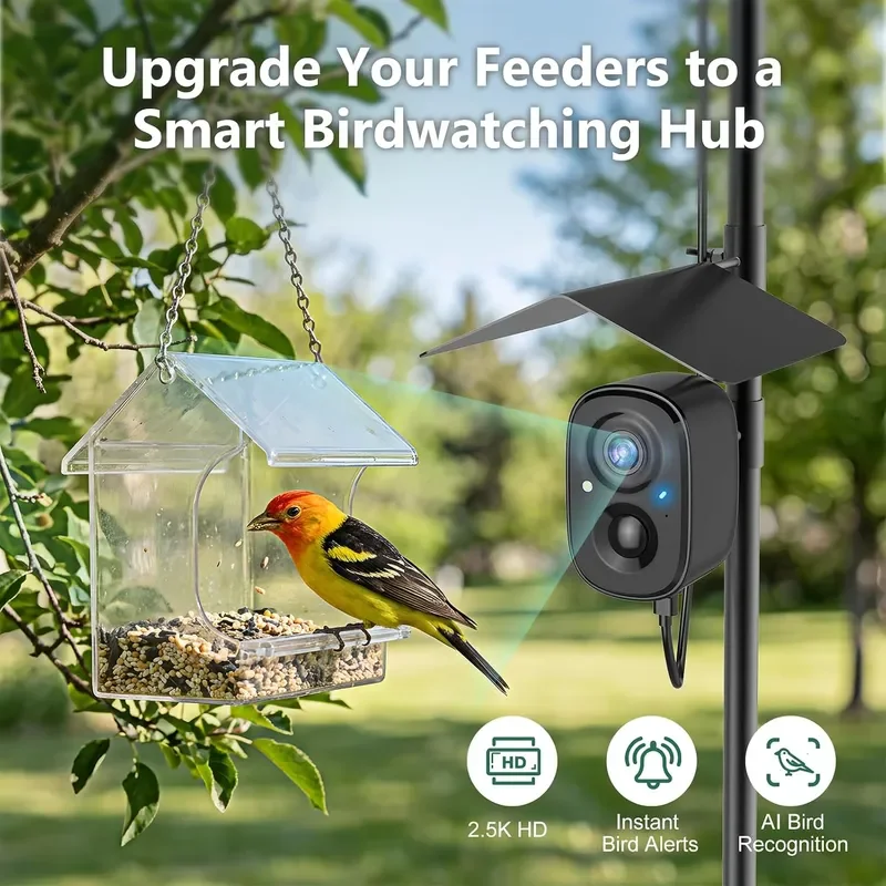 Smart Bird Camera Solar Powered with Pole for Feeder Bath Birdwatching