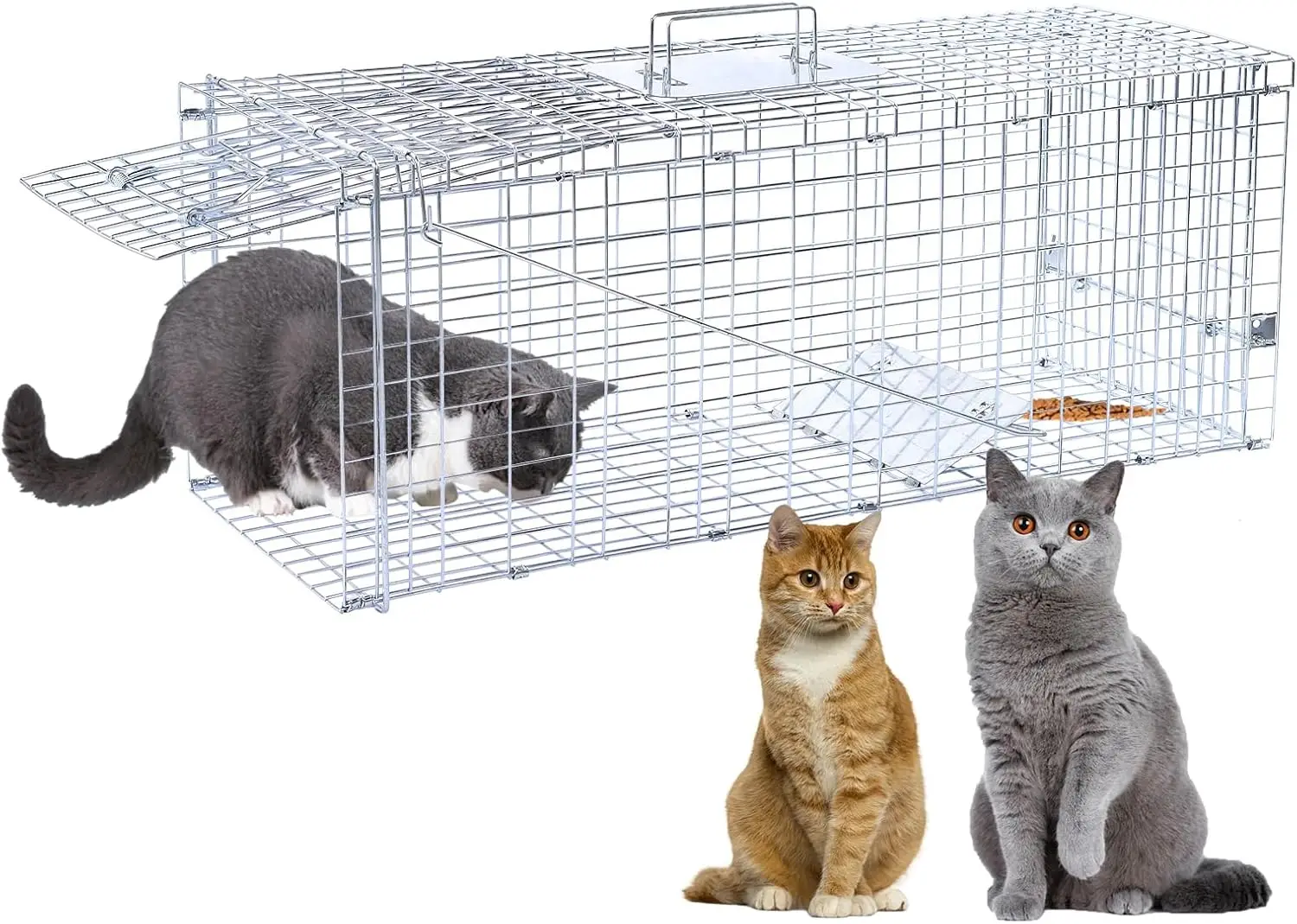 

32" Live Animal Trap Cage for Cats, Raccoons, Squirrels up to 16.5 lbs, Galvanized Rustproof