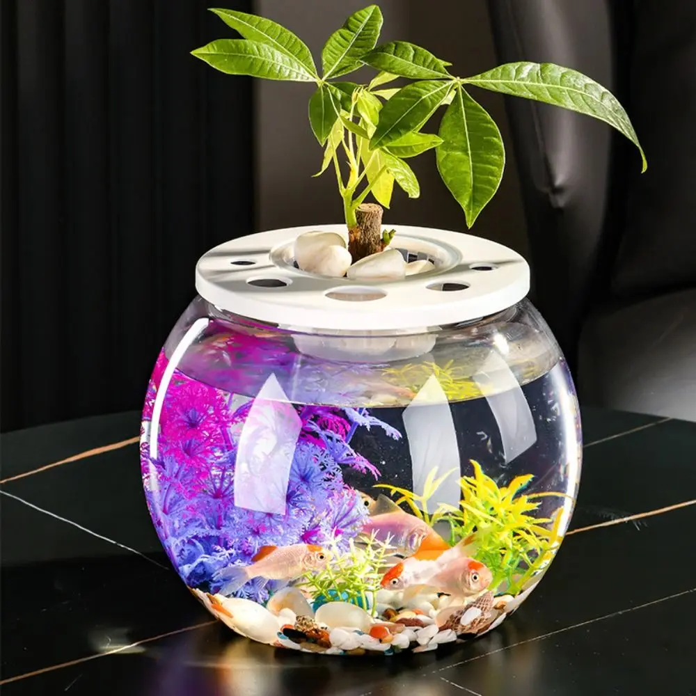 

Modern Design Transparent Small Clear Fish Tank Shatterproof Plastic Turtle Aquarium With Lid Turtle Terrarium Office Decor