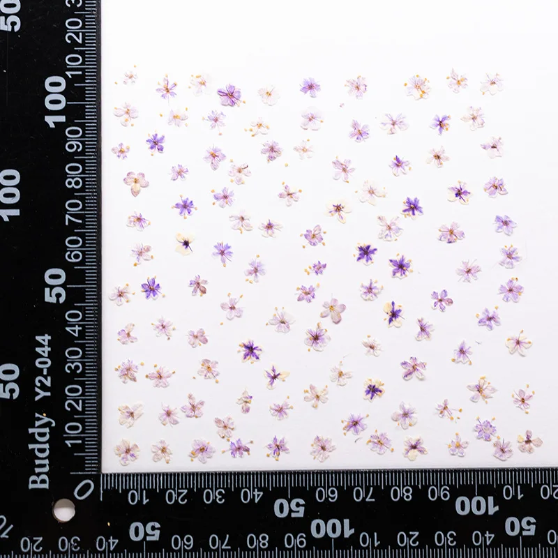24 Stück, gepresste blaue Trockenblumen aus Spitze für DIY-Harzschmuck, Lesezeichen, Grußkarten, Scrapbooking, Aromatherapie, Kerzen, Bastelzubehör – Detail 18