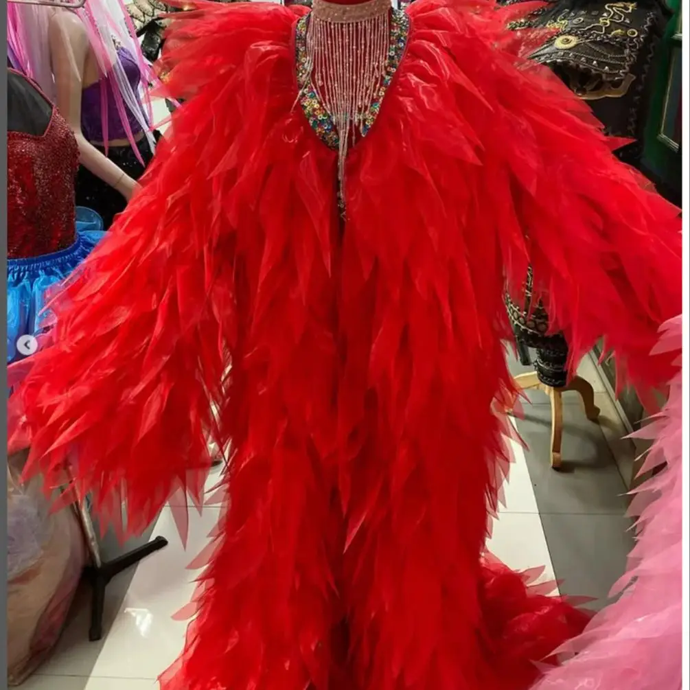 

Organza Long Jacket Stage Performance Costumes Women Jacket Women Outerwear Coat Cross dressing queen cloak customcolor