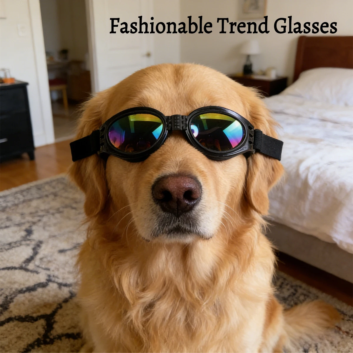 

Pet Sunglasses Cats & dogs Fashion Foldable UV-Protective Sunglasses Summer Wind Sun Protection Outdoor WalksTeddbichon frise