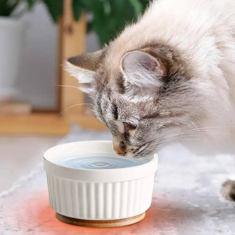 Why a Dog Bowl Warmer Is Essential for Cold-Weather Pet Care – A Real-World Review of the Ceramic Pet Water Bowl Heater