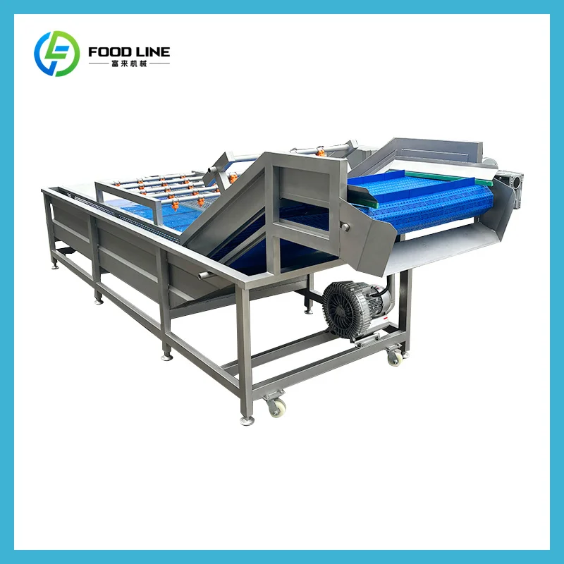 Customized Multi-functional High Pressure Lettuce Strawberry Celery Bubble Cleaning Washing Machine air Bubble Washing Machine