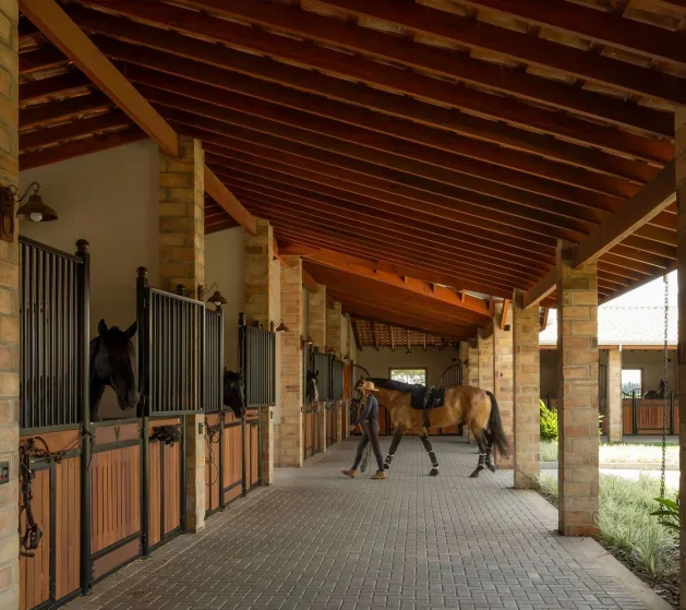 Stable Club Horse Stalls A boon for horse enthusiasts Hot galvanized iron frame Sturdy and durable rooms for horses