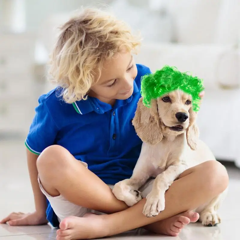 Peluca rizada de pelo corto para perros y gatos, accesorio creativo para el cabello de mascotas, color verde