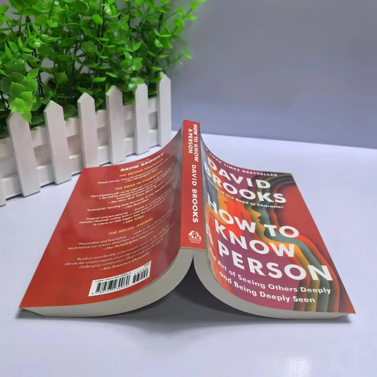 How to Know a Person: The Art of Seeing Others Deeply and Being Deeply Seen