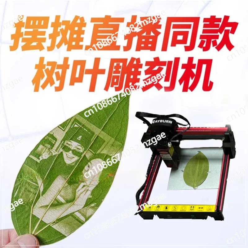 Laser engraving machine equipment booth small fully automatic leaf engraving machine photo machine