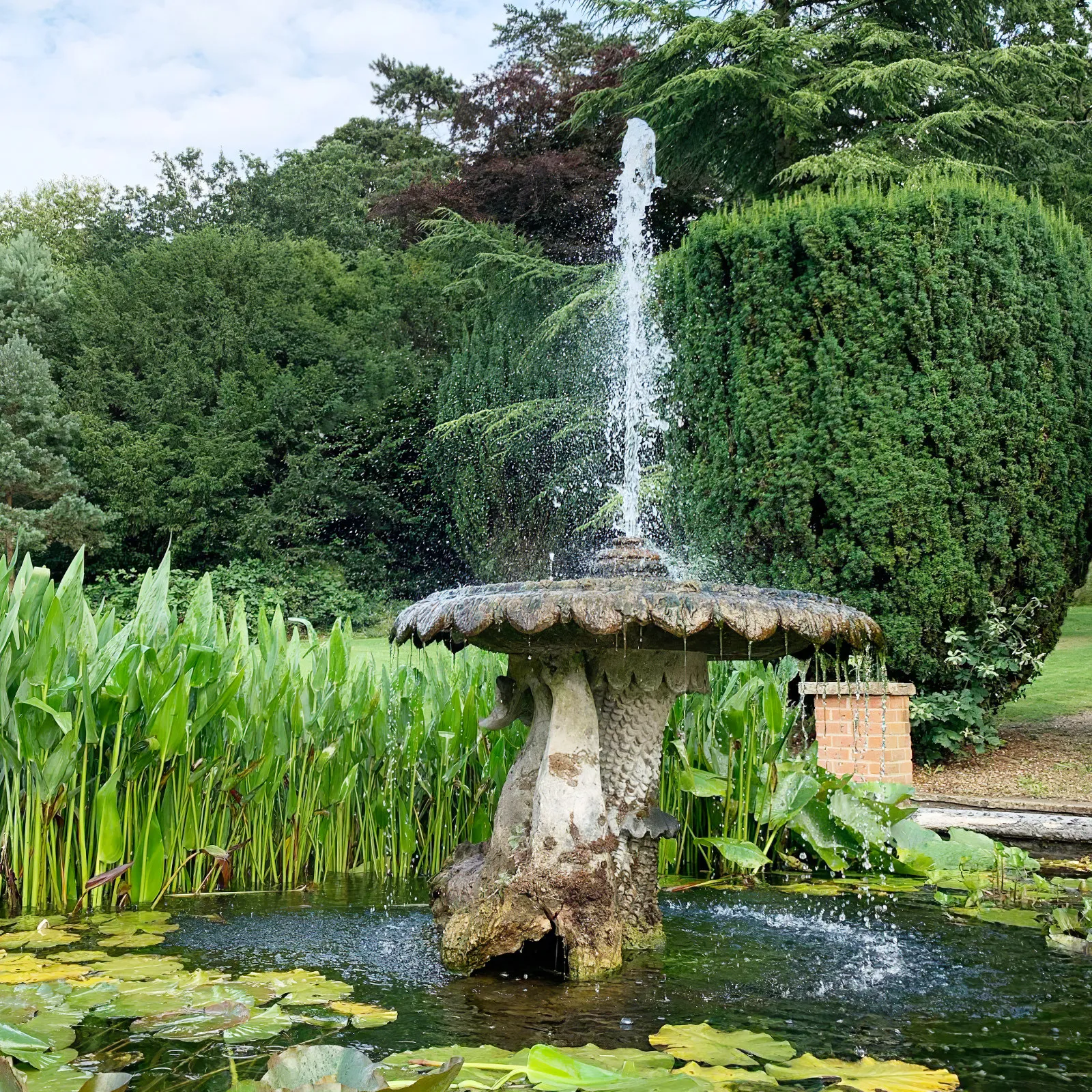 

Бесщеточный погружной водяной насос постоянного тока 12В, 800 л/ч, напор 5 м, стабильный, надежный, с низким энергопотреблением, для аквариумов и бассейнов