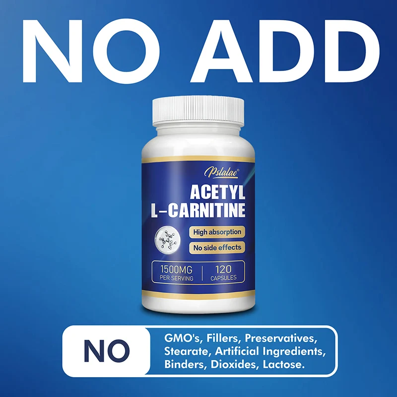 Acetyl L-Carnitine - Supports Memory Focus, Increase Body Performance, Metabolic Energy Fitness Exercise