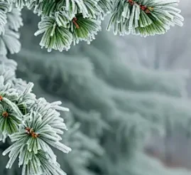 2 Din راديو أندرويد لتويوتا سيكويا تندرا 2001-2007 7 "شاشة لاسلكية Carplay سيارة الوسائط المتعددة نظام تحديد المواقع رئيس وحدة ستيريو Autoradio