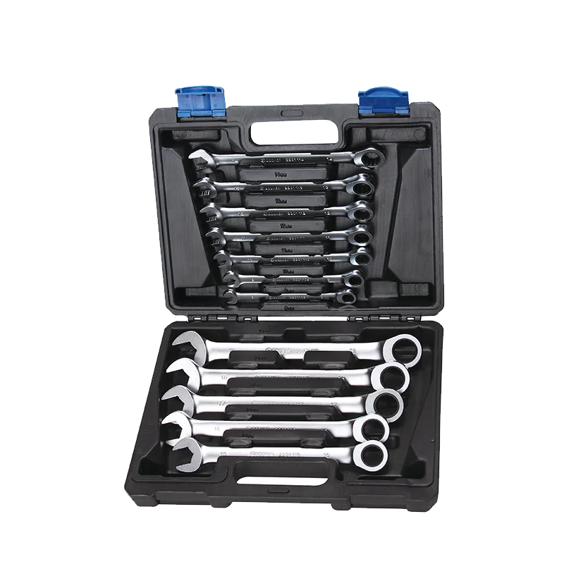 Durable Plastic Box Packaging Of 9pcs Chrome Vanadium ANSI Standard Ratchet Ring 12pcs Set & Open End Wrench