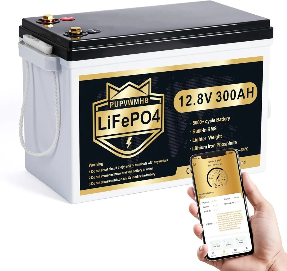 

12V 300Ah mini LiFePO4 Lithium Battery 200A Bluetooth BMS Max.3840Wh Energy With Low Temp Cut Off for RV Solar Trolling Motor