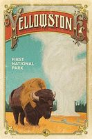 Vintage Metal Tin Sign Yellowston First National Park Bison for Home Bar Pub Kitchen Garage Restaurant Wall Deocr Plaque Signs 1