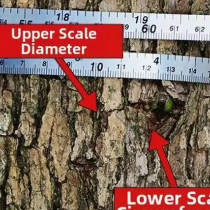 2m Stainless Steel Tape Measure Dual Scale Diameter Circumference Ruler For Tree Gardening Landscape Measurement Tool