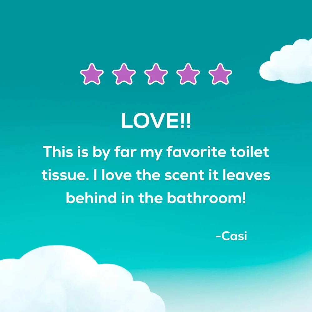 Lavender Scented 2-Ply Toilet Paper 48 Mega Rolls Soft Strong 320 Sheets Each Perforated Septic Safe Bathroom Essential