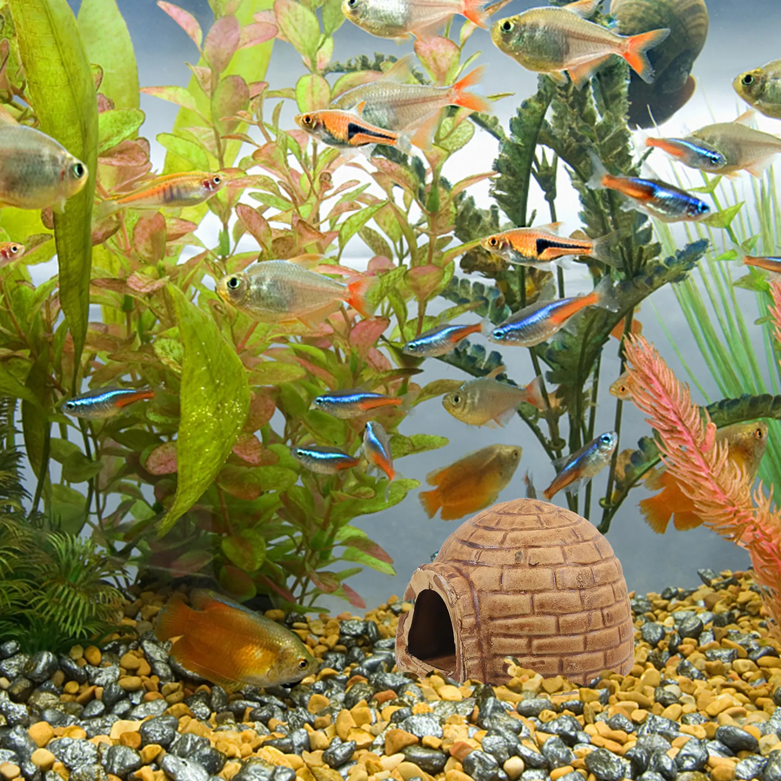 Gua Keramik Premium untuk Akua - Hide Cave Ceramic ulasan dan harga