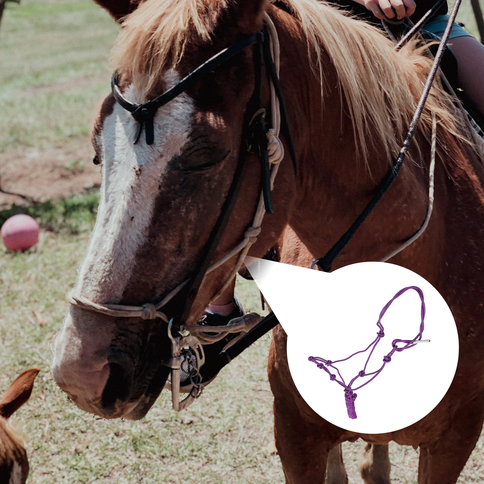 جديلة المحمولة عقدة قماش قوي دائم قوي مريح صالح الحصان معدات التدريب حبل الرسن Bridles الرسن #2