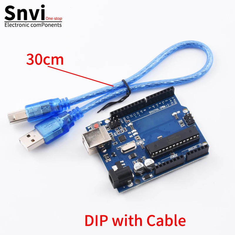 Variant: R3 DIP with cable