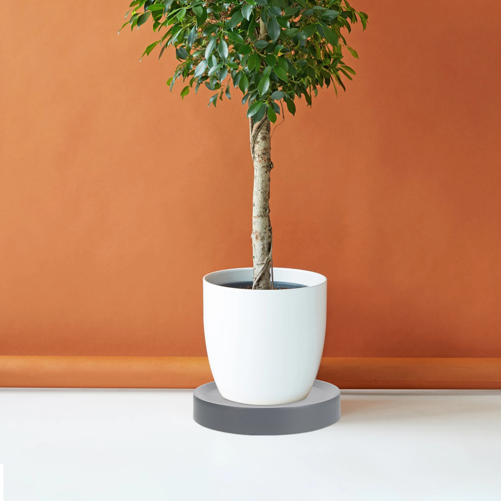 

Flower Pot Tray Thickened Gray Black Plant Rolling Base Saucer Wheel Sturdy Plastic Stand Heavy Duty Direction