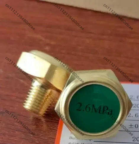 Cryogenic Rupture Disc Burst Disc 2.6 3.6MPa For Dewar Vessel Oxygen Nitrogen Argon Gas Cylinder