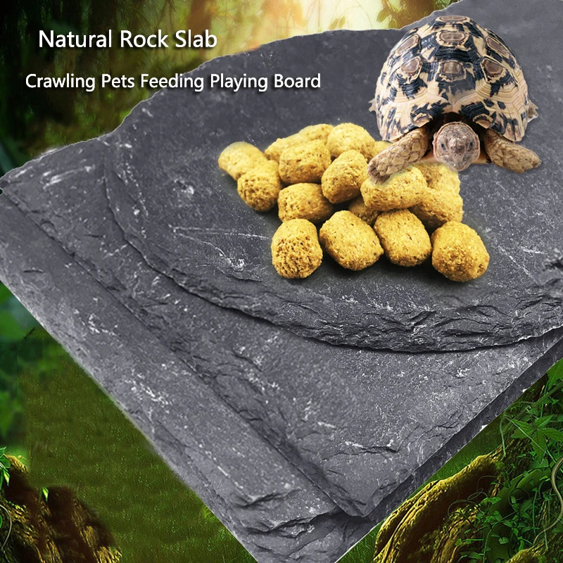 Tortoise Slab Mat Natural Rock Food Bowl Plate Climb Pet Reptile Box Original Ecological Aquarium Landscaping terrace Rest New