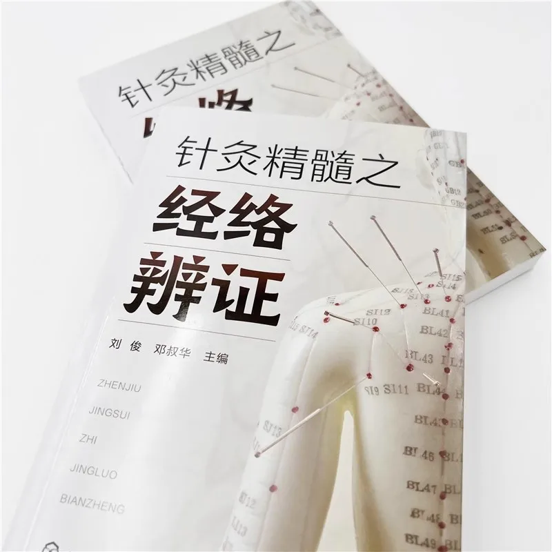 Acupuncture Meridian Book : The Definitive Guide to Channel Pattern Differentiation Tutorial