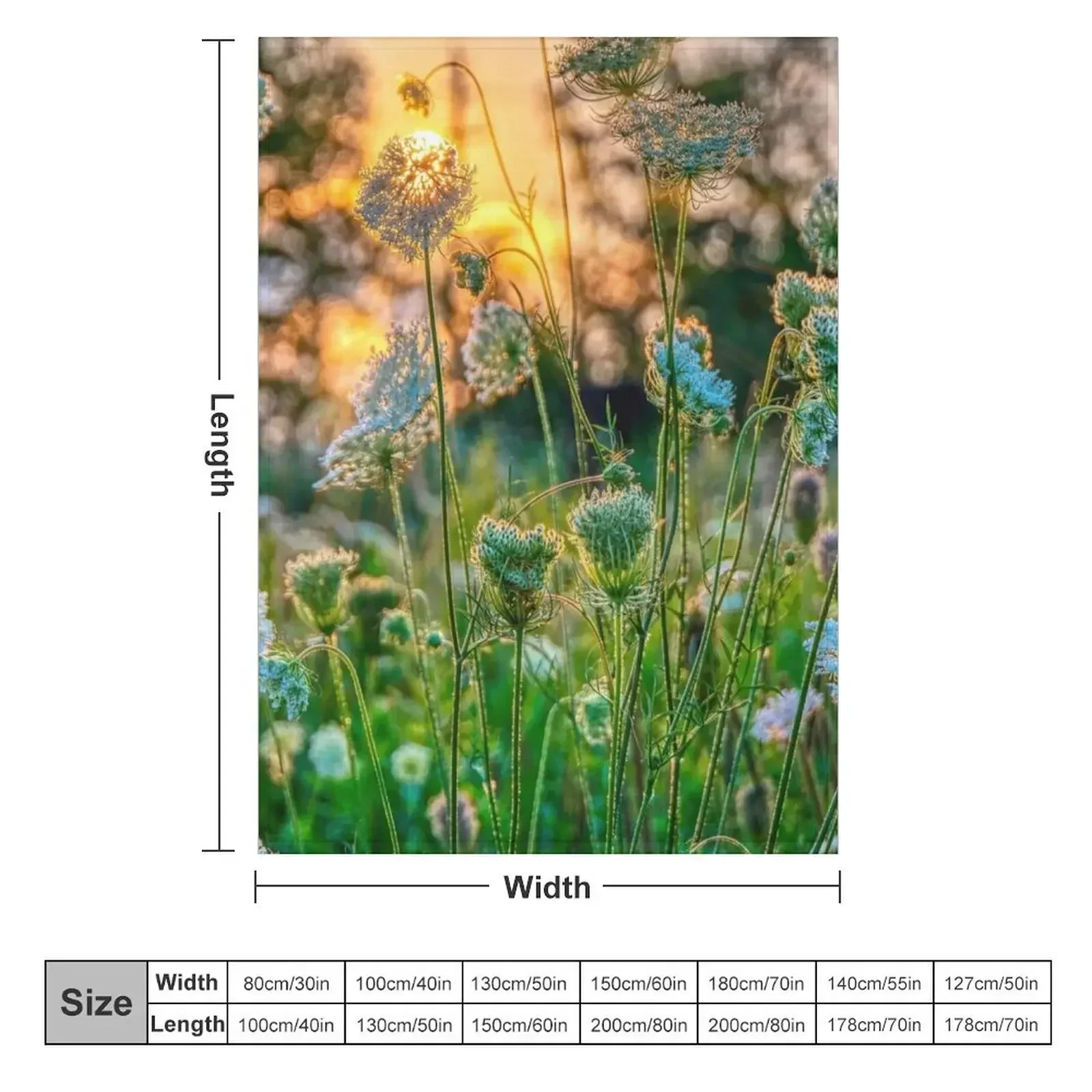 Sunset behind Queen Anne's Lace Throw Blanket Blankets For Bed Soft Summer Beddings blankets and throws Large Blankets