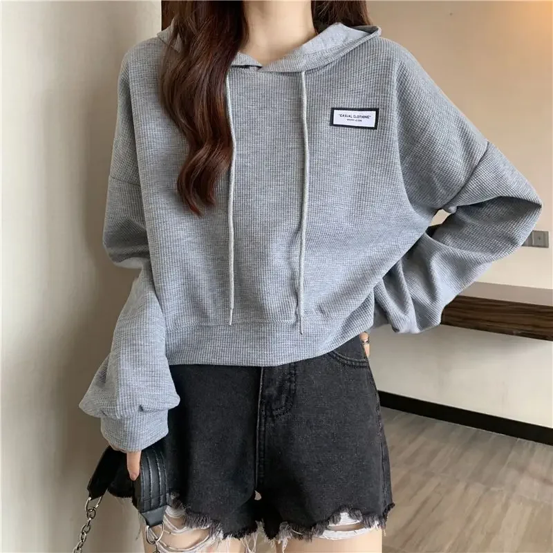 Long Sleeve Spring and Autumn Woman Hooded Tops Y2k Japanese Streetwear 2000s Sweat-shirt Sport Emo Hoodies Sweatshirt for Women