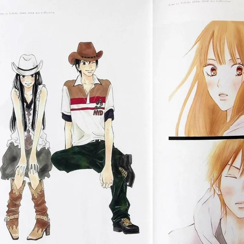 Kimi ni Todoke Illustration Book Japanese High School Sweet Romance Manga Art Collection By Karuho Shiina