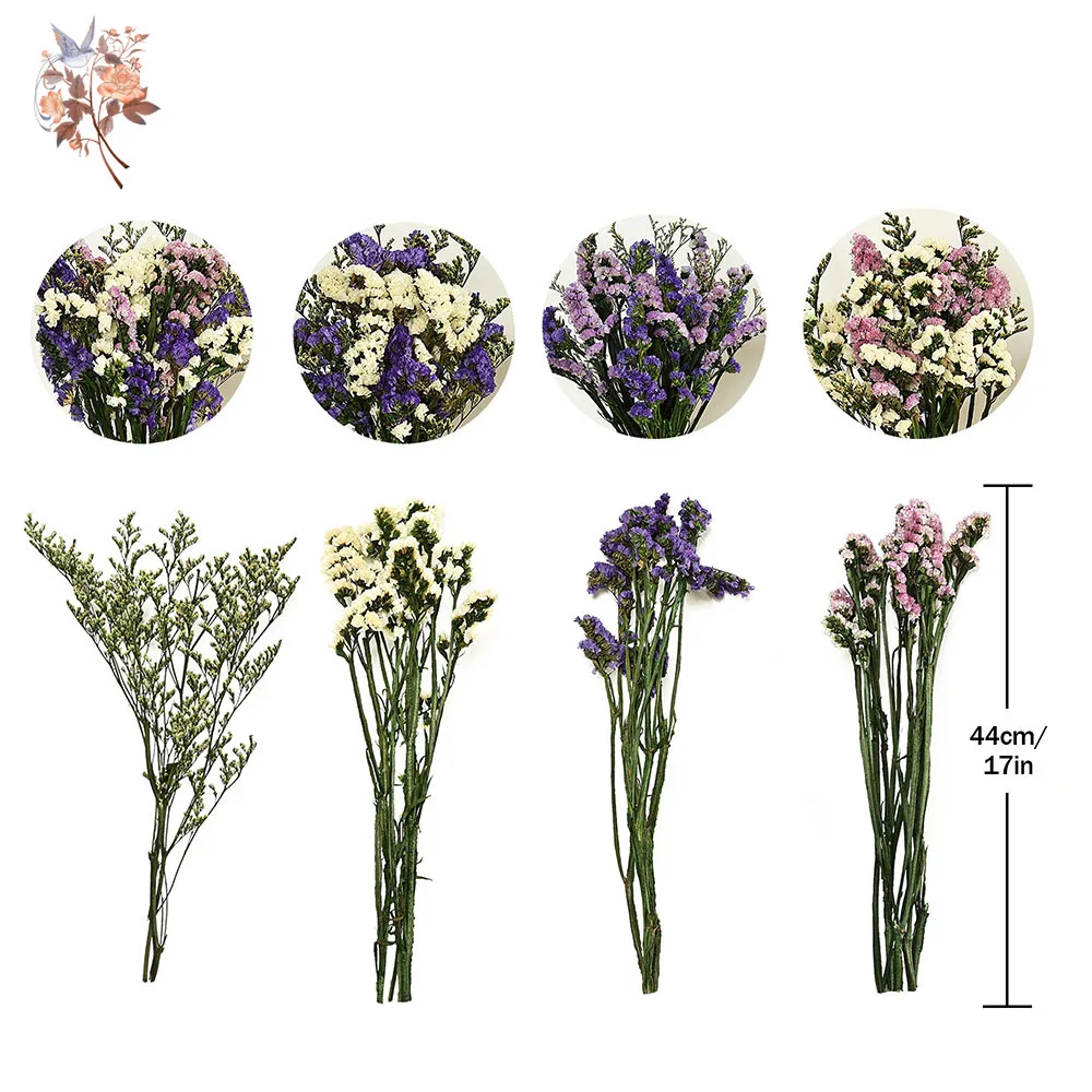 100g Naturale Reale No dimenticare Bouquet di Fiori Mix Limonio Erba per Coppia Fidanzata Regali Romantici Piante Secche Bundle Decor